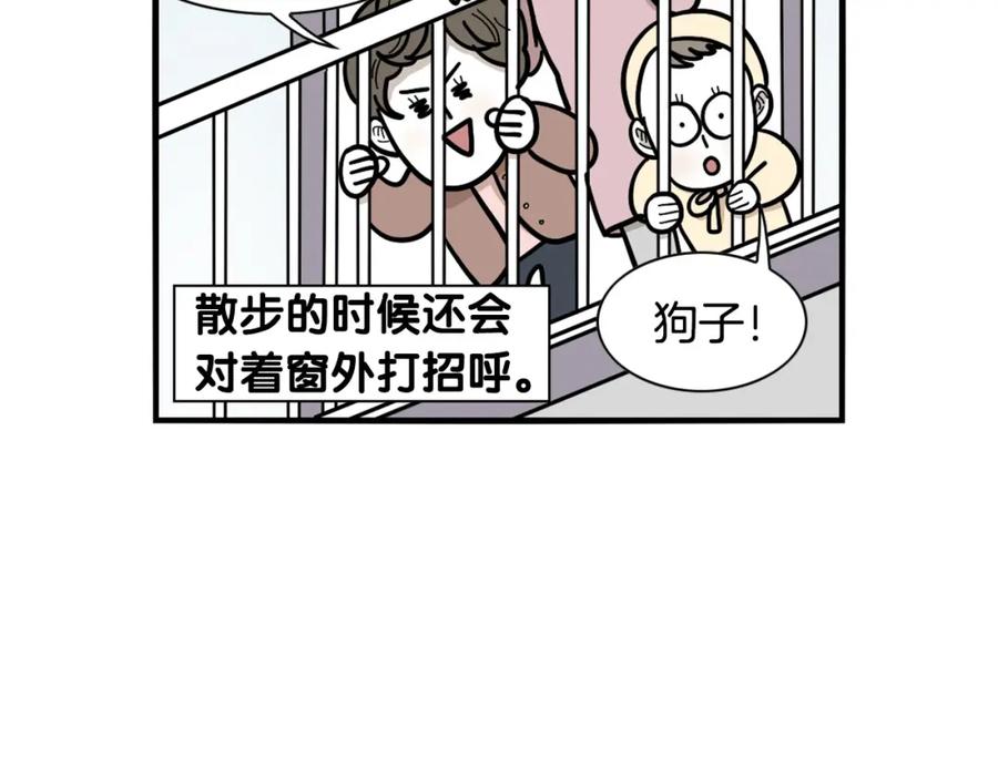 《我的狗子叫棉花》第40话 如何防止狗叫？ 第78页