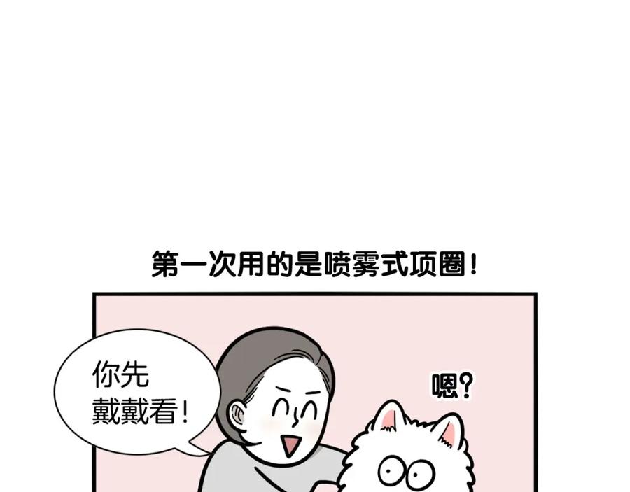 《我的狗子叫棉花》第40话 如何防止狗叫？ 第30页