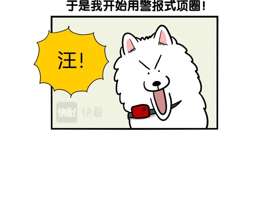 《我的狗子叫棉花》第40话 如何防止狗叫？ 第53页