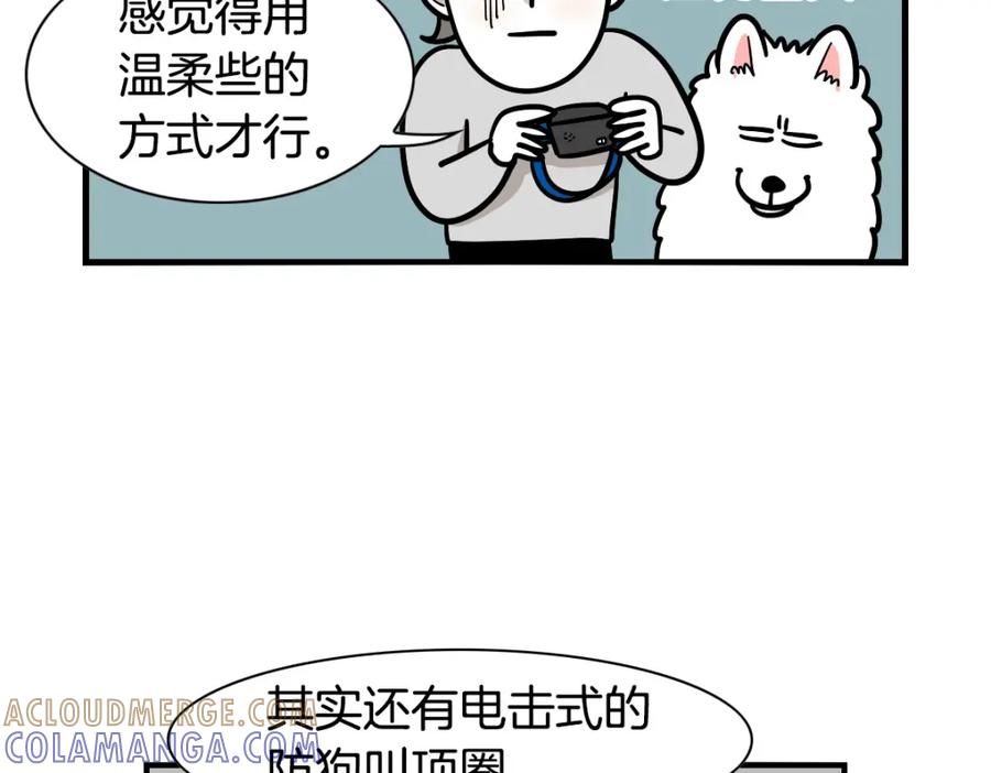 《我的狗子叫棉花》第40话 如何防止狗叫？ 第40页