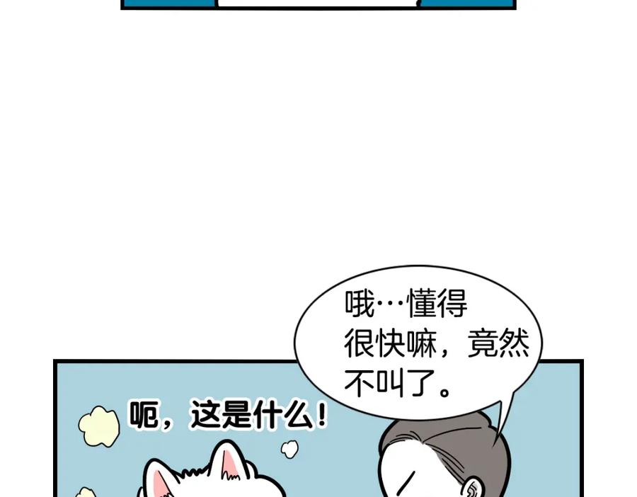 《我的狗子叫棉花》第40话 如何防止狗叫？ 第35页