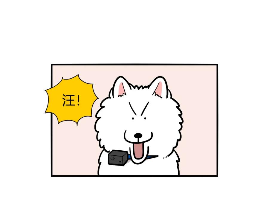 《我的狗子叫棉花》第40话 如何防止狗叫？ 第33页