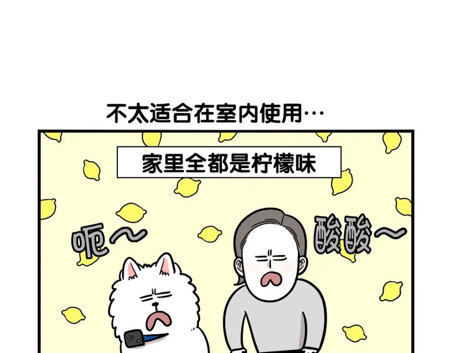 《我的狗子叫棉花》第40话 如何防止狗叫？ 第38页