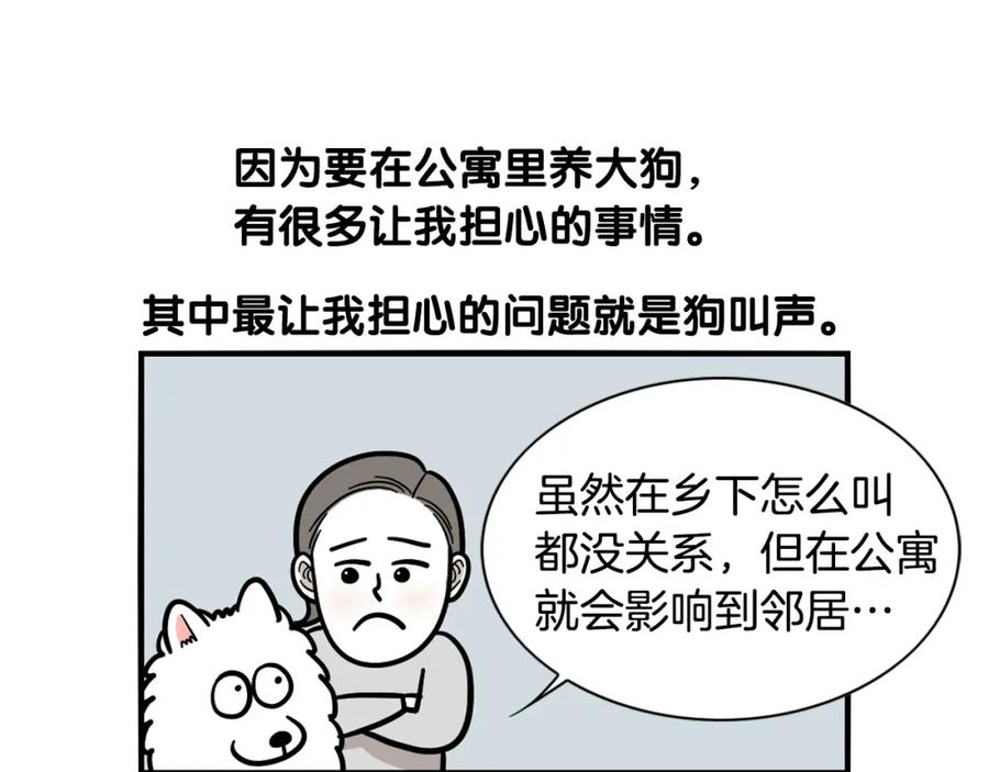 《我的狗子叫棉花》第40话 如何防止狗叫？ 第18页
