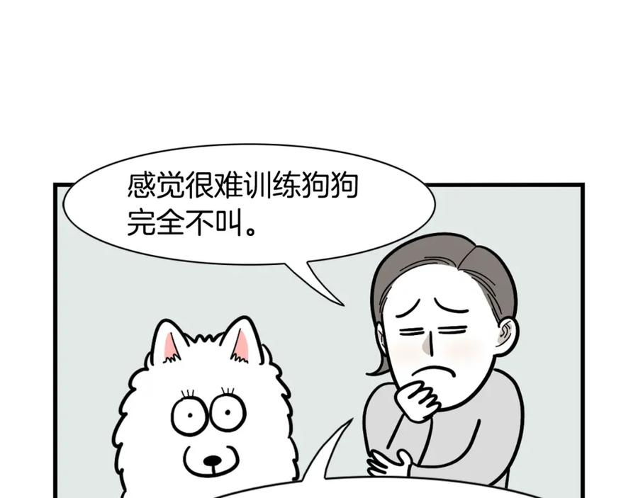 《我的狗子叫棉花》第40话 如何防止狗叫？ 第60页
