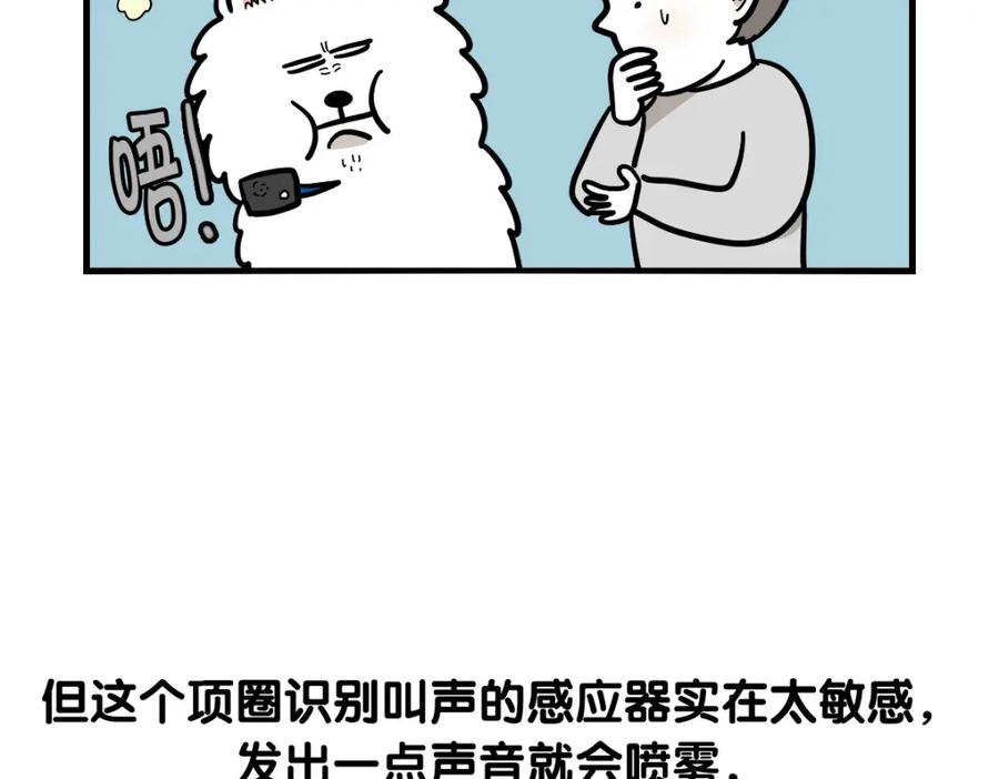 《我的狗子叫棉花》第40话 如何防止狗叫？ 第36页
