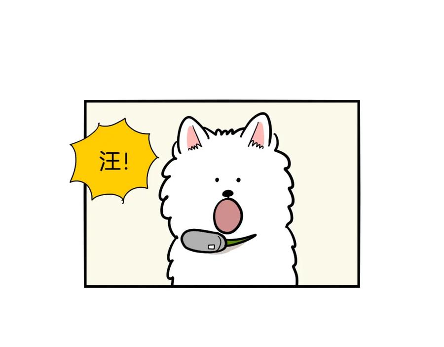 《我的狗子叫棉花》第40话 如何防止狗叫？ 第44页
