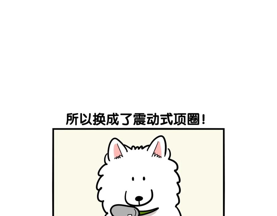 《我的狗子叫棉花》第40话 如何防止狗叫？ 第42页
