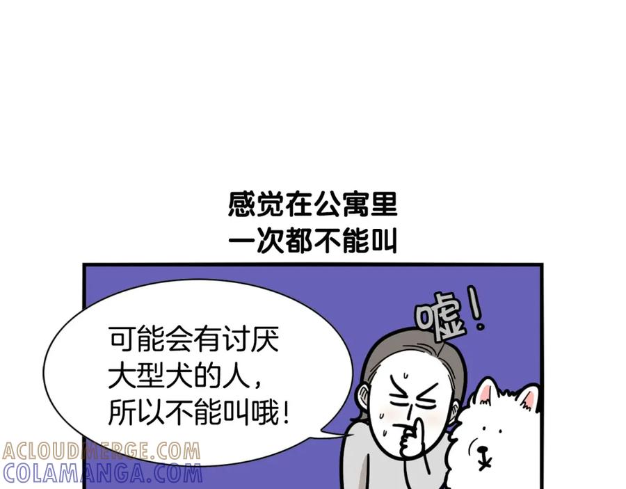 《我的狗子叫棉花》第40话 如何防止狗叫？ 第22页