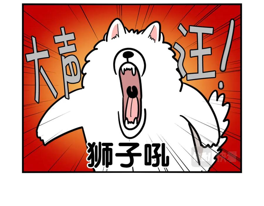 《我的狗子叫棉花》第40话 如何防止狗叫？ 第21页