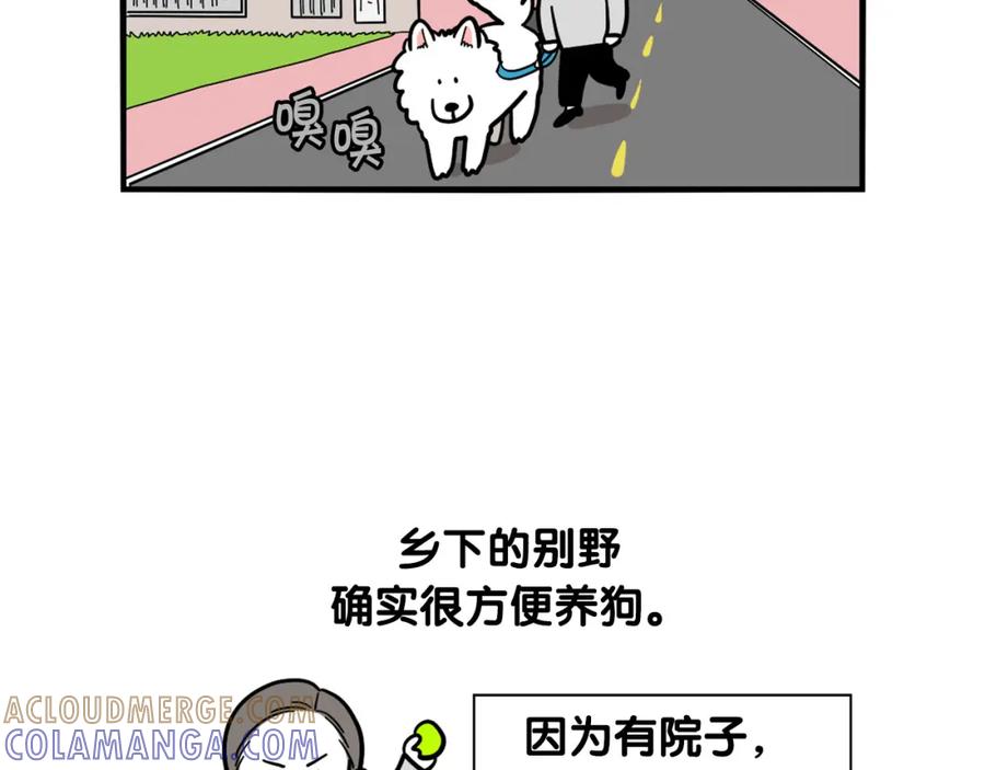 《我的狗子叫棉花》第40话 如何防止狗叫？ 第7页