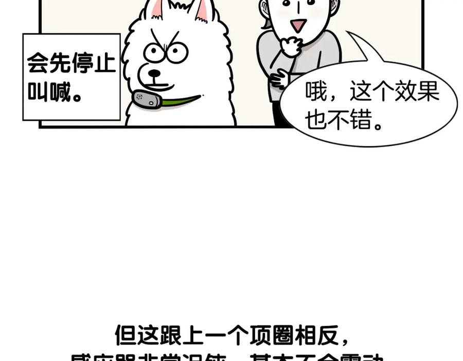 《我的狗子叫棉花》第40话 如何防止狗叫？ 第47页