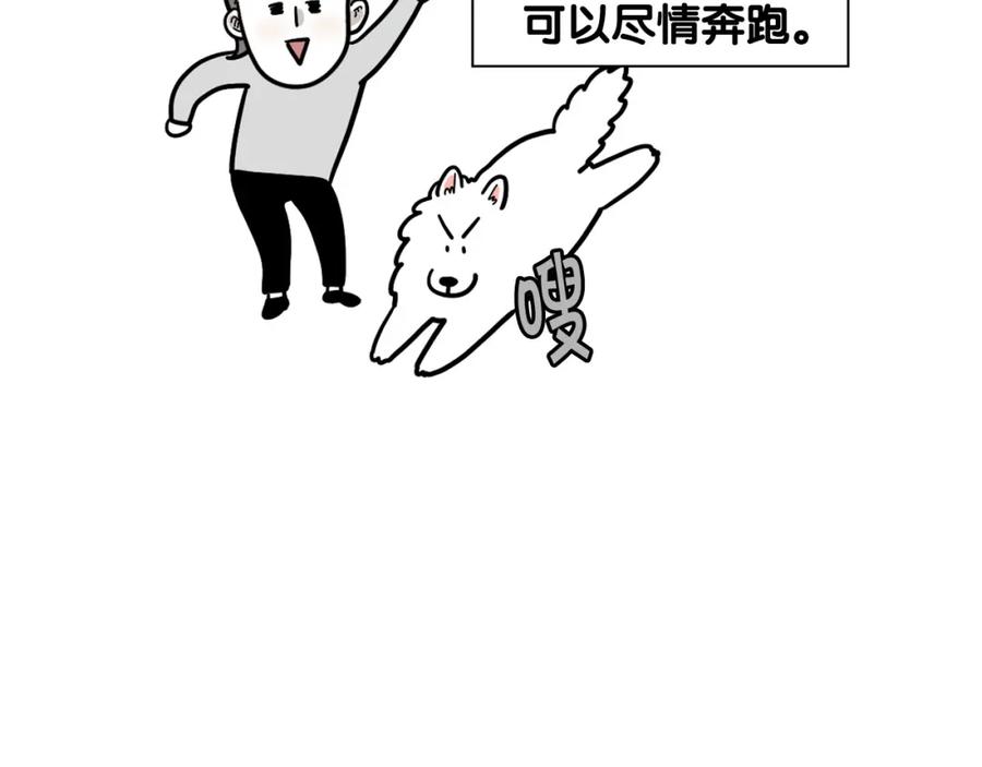 《我的狗子叫棉花》第40话 如何防止狗叫？ 第8页