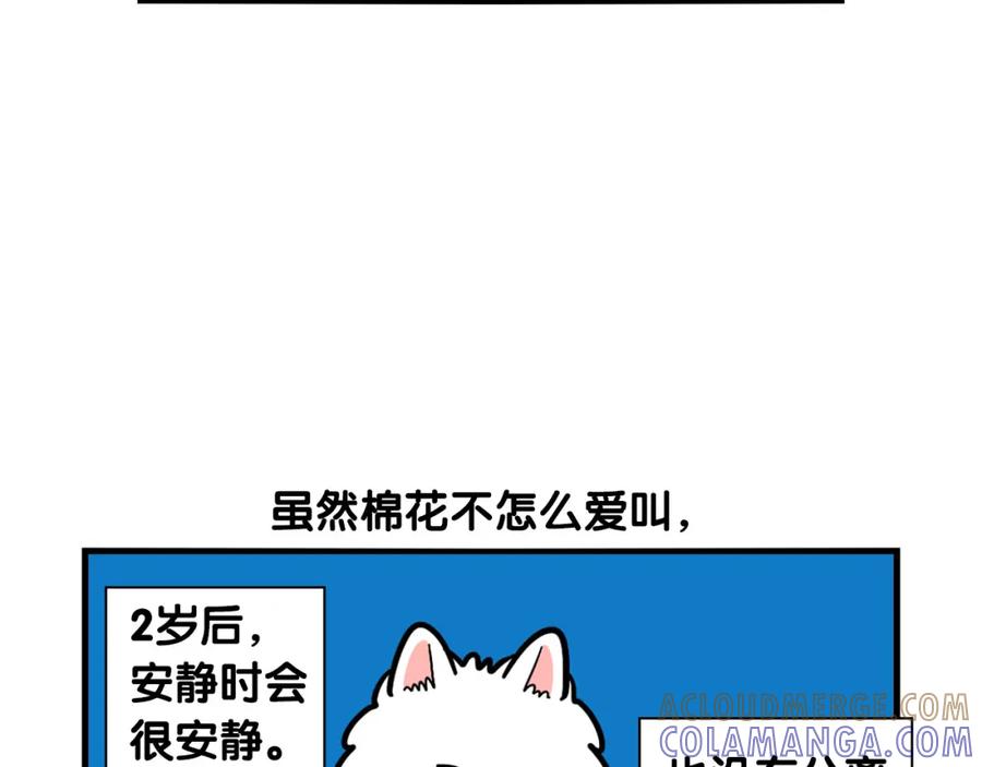 《我的狗子叫棉花》第40话 如何防止狗叫？ 第19页