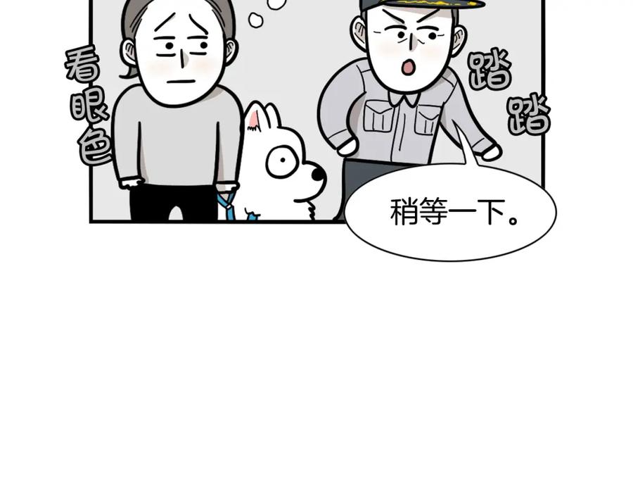 《我的狗子叫棉花》第40话 如何防止狗叫？ 第86页
