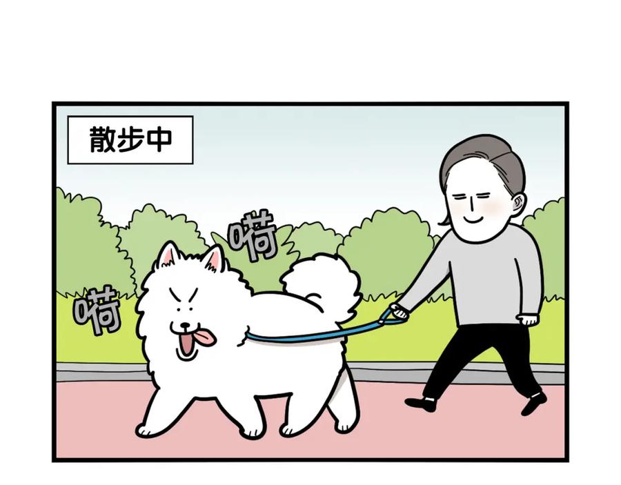 《我的狗子叫棉花》第41话 抢吃第一名！ 第24页