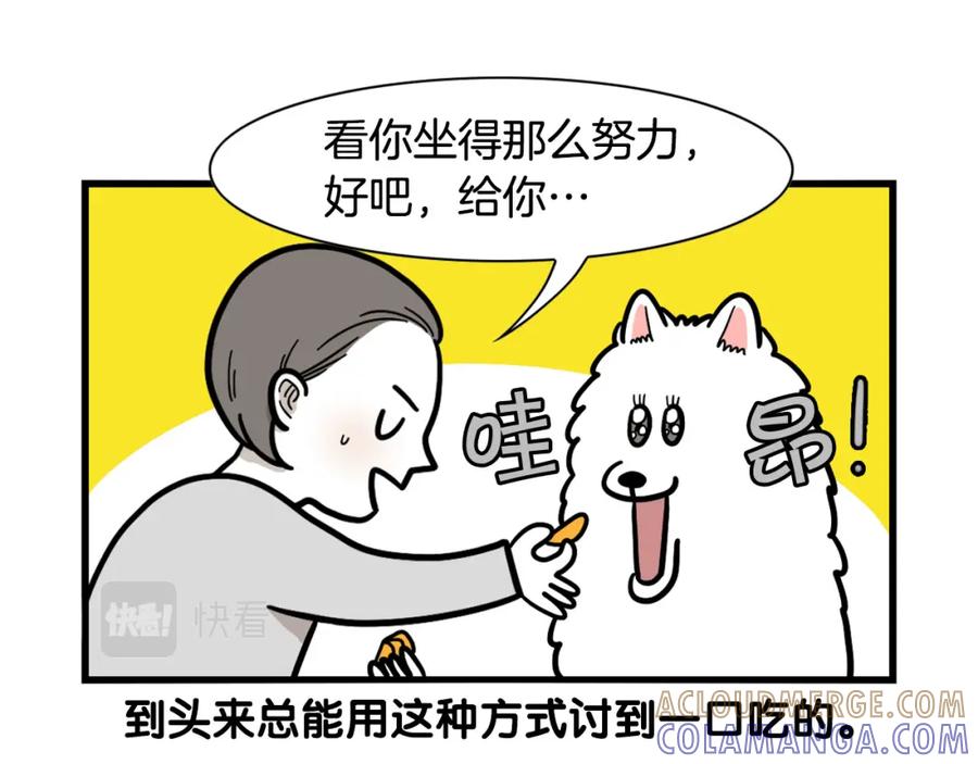 《我的狗子叫棉花》第41话 抢吃第一名！ 第22页