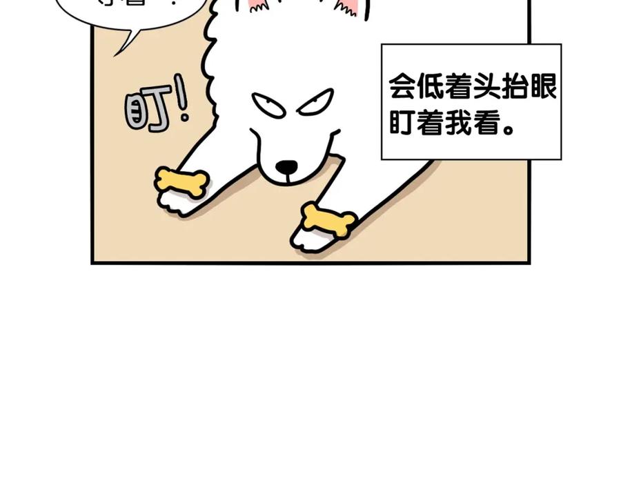 《我的狗子叫棉花》第41话 抢吃第一名！ 第78页