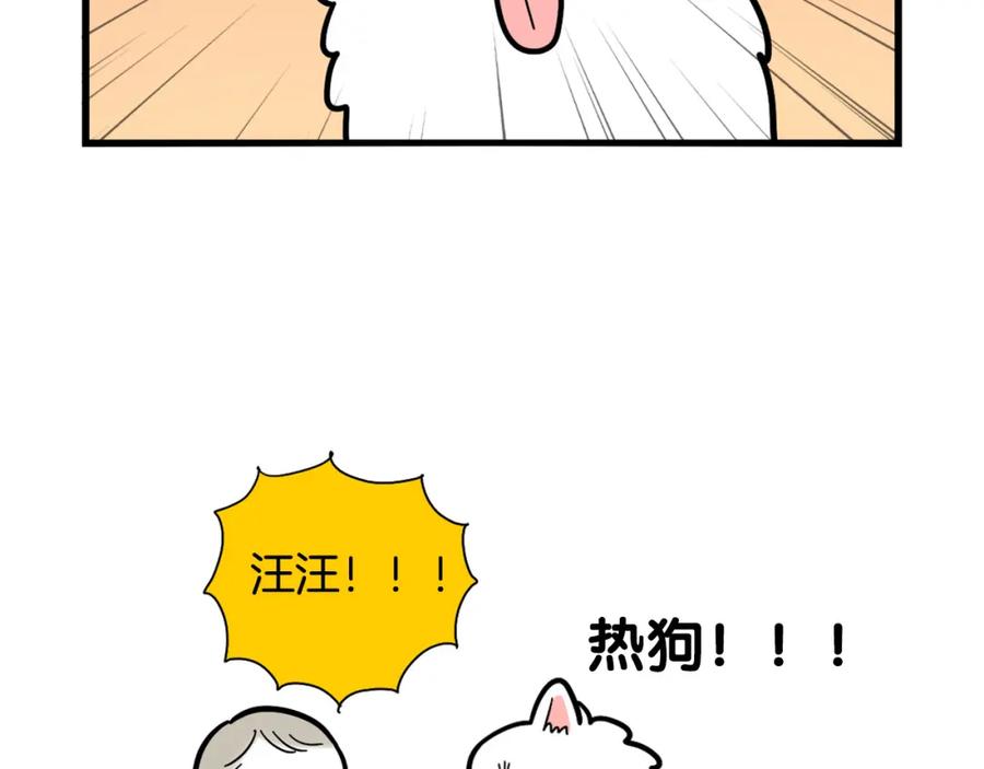《我的狗子叫棉花》第41话 抢吃第一名！ 第44页
