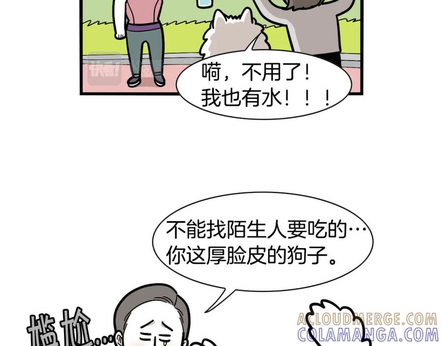 《我的狗子叫棉花》第41话 抢吃第一名！ 第34页