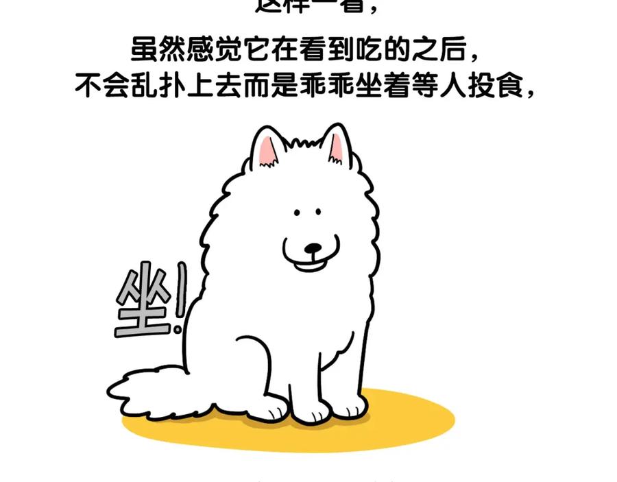 《我的狗子叫棉花》第41话 抢吃第一名！ 第60页