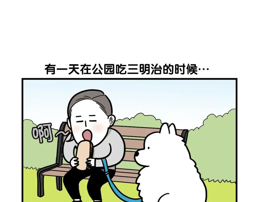《我的狗子叫棉花》第41话 抢吃第一名！ 第62页