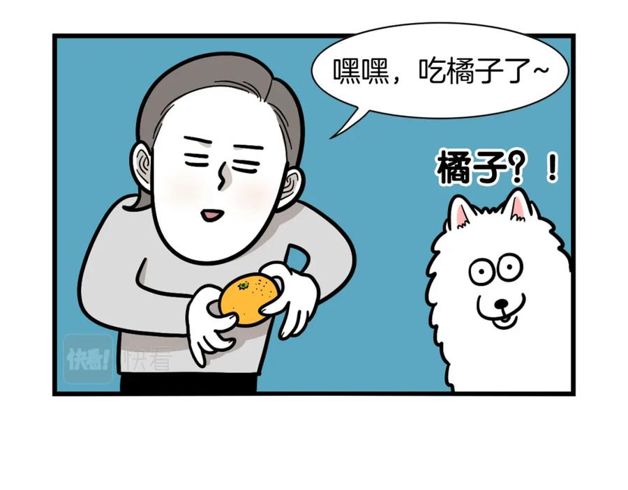 《我的狗子叫棉花》第41话 抢吃第一名！ 第9页