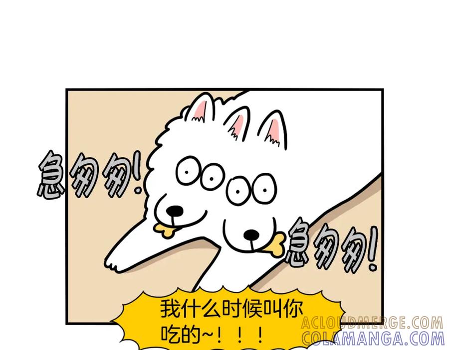《我的狗子叫棉花》第41话 抢吃第一名！ 第79页