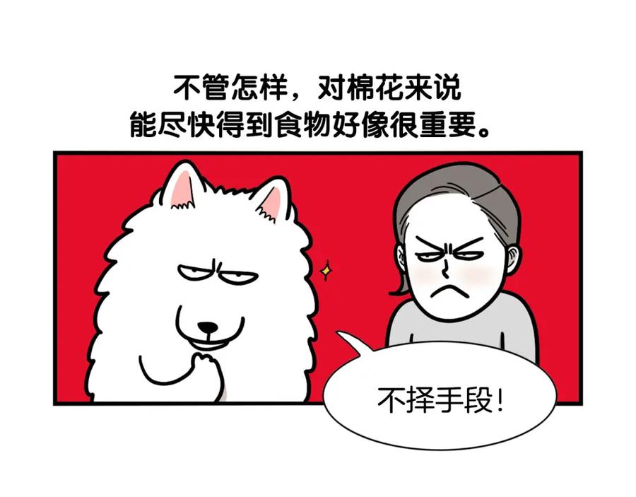 《我的狗子叫棉花》第41话 抢吃第一名！ 第75页