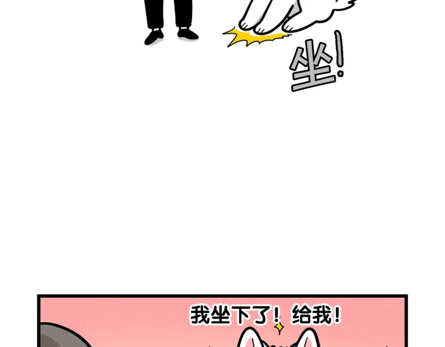 《我的狗子叫棉花》第41话 抢吃第一名！ 第11页