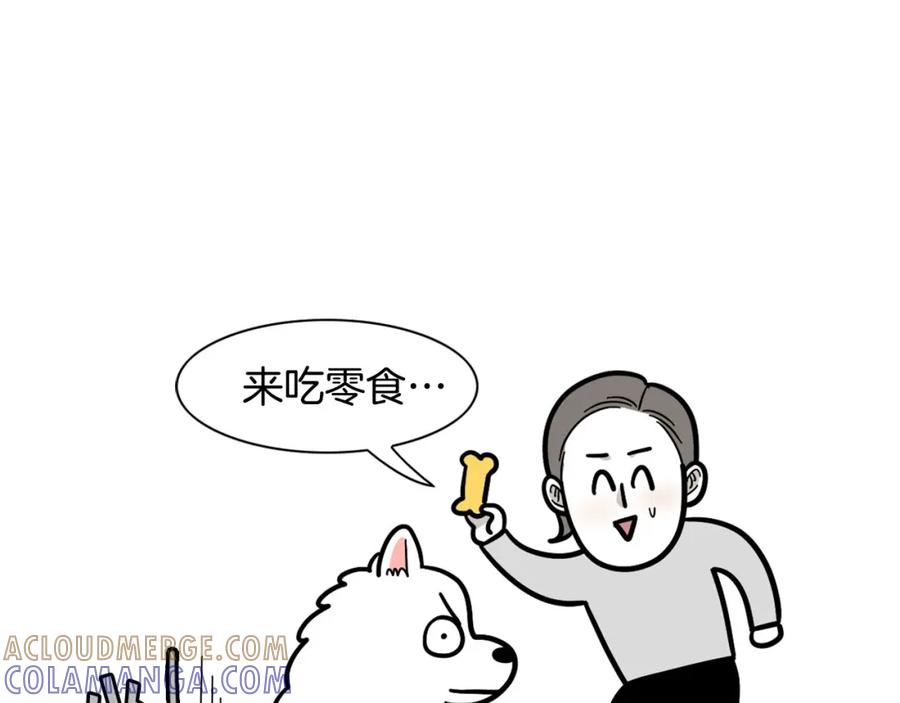 《我的狗子叫棉花》第41话 抢吃第一名！ 第7页