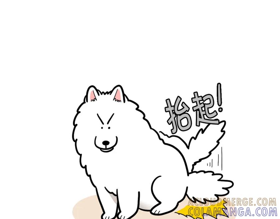 《我的狗子叫棉花》第41话 抢吃第一名！ 第19页