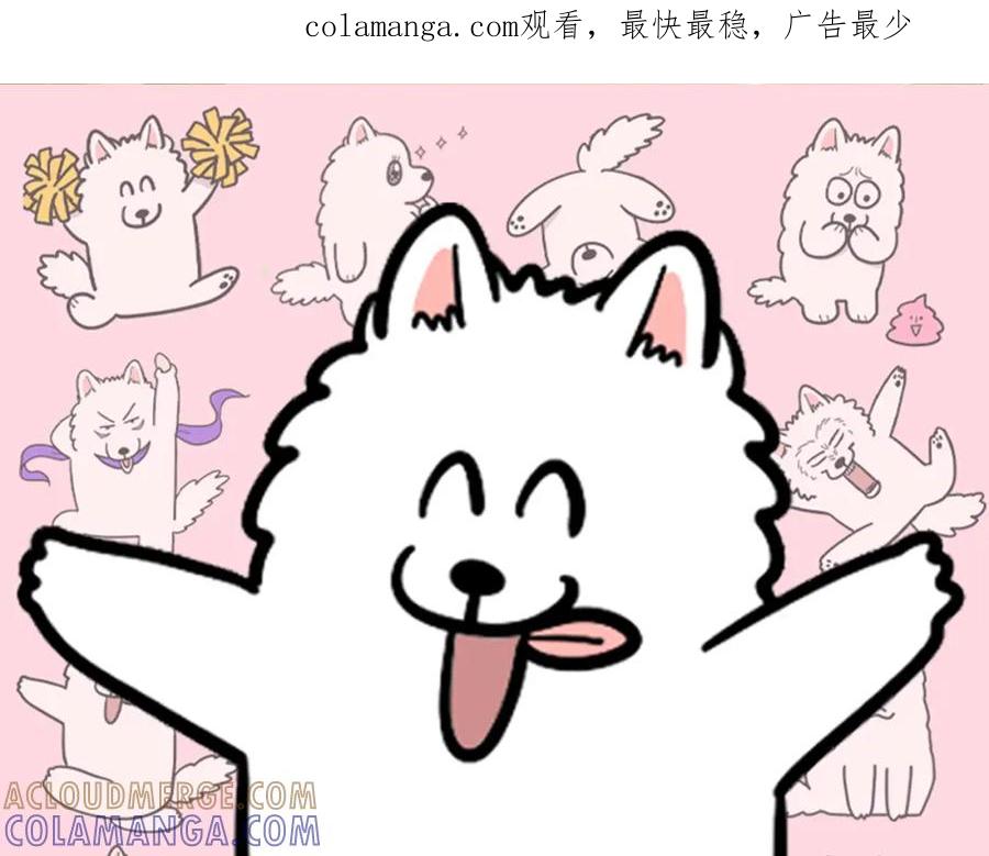 《我的狗子叫棉花》第41话 抢吃第一名！ 第1页