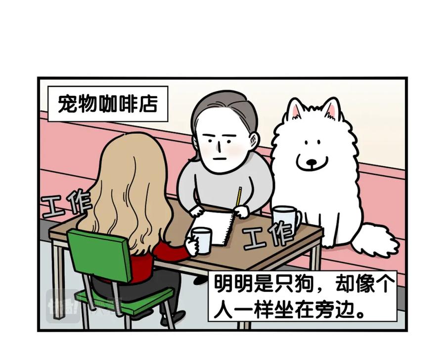 《我的狗子叫棉花》第41话 抢吃第一名！ 第50页