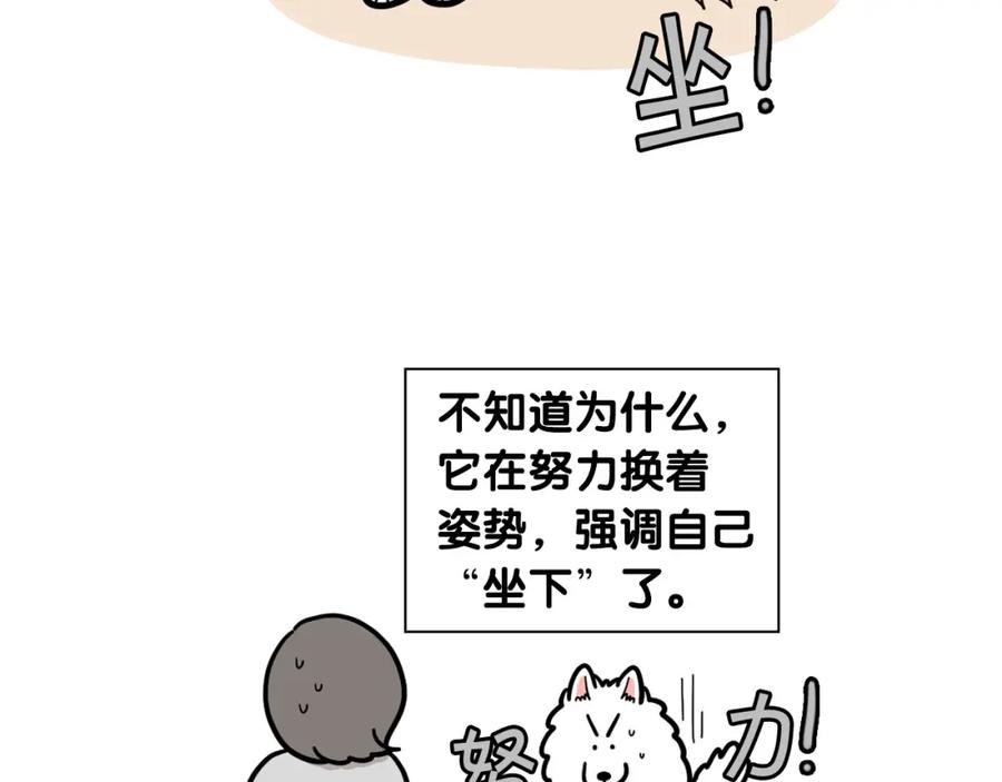 《我的狗子叫棉花》第41话 抢吃第一名！ 第20页
