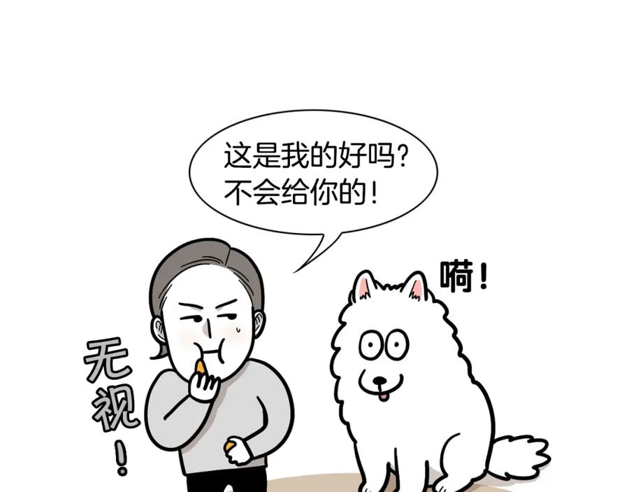 《我的狗子叫棉花》第41话 抢吃第一名！ 第15页