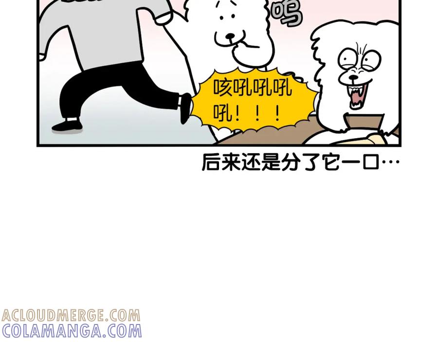 《我的狗子叫棉花》第41话 抢吃第一名！ 第58页