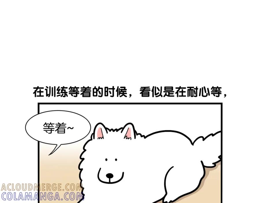 《我的狗子叫棉花》第41话 抢吃第一名！ 第76页