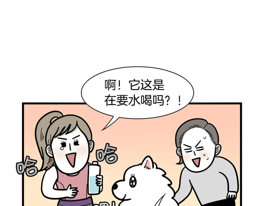 《我的狗子叫棉花》第41话 抢吃第一名！ 第32页