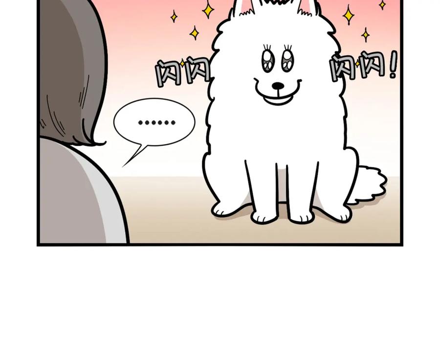 《我的狗子叫棉花》第41话 抢吃第一名！ 第12页