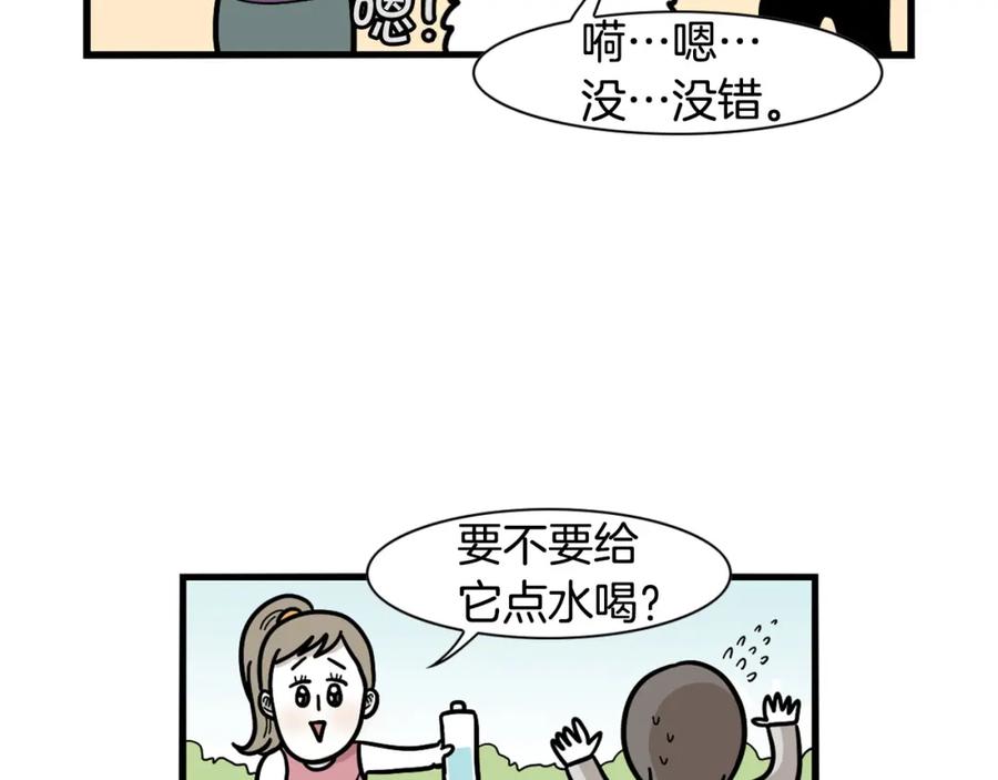 《我的狗子叫棉花》第41话 抢吃第一名！ 第33页