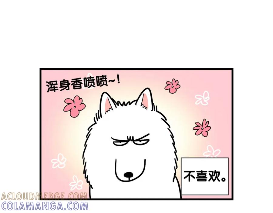《我的狗子叫棉花》第6话 洗澡澡 第73页