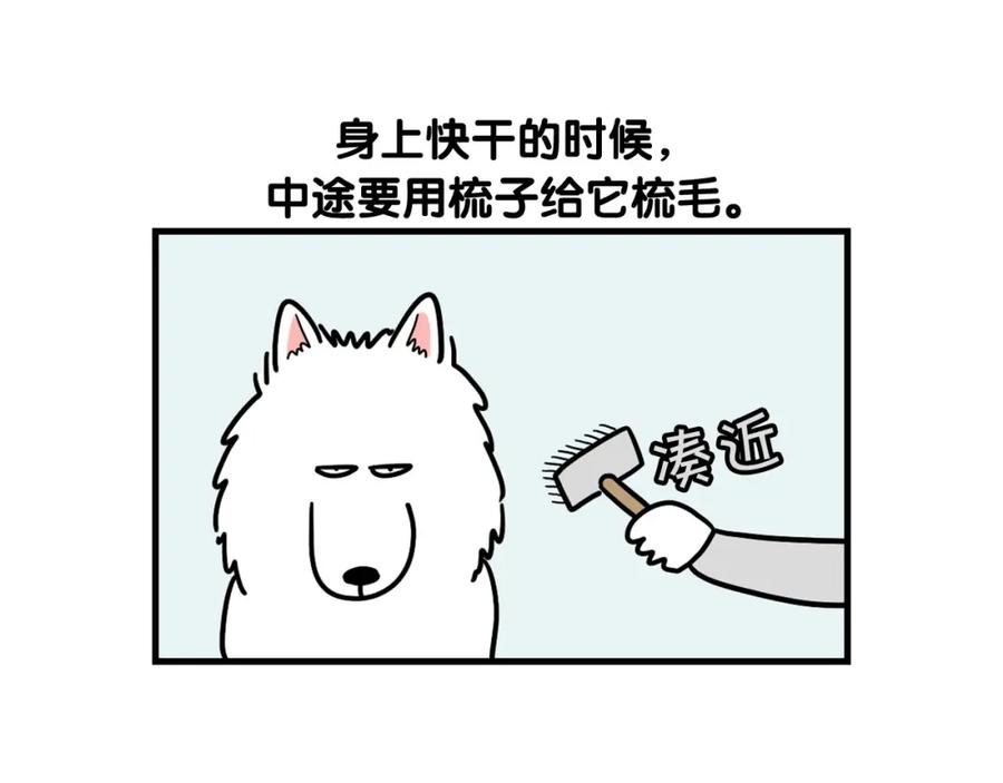 《我的狗子叫棉花》第6话 洗澡澡 第62页