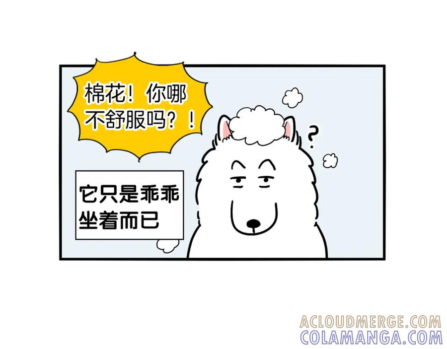 《我的狗子叫棉花》第6话 洗澡澡 第25页