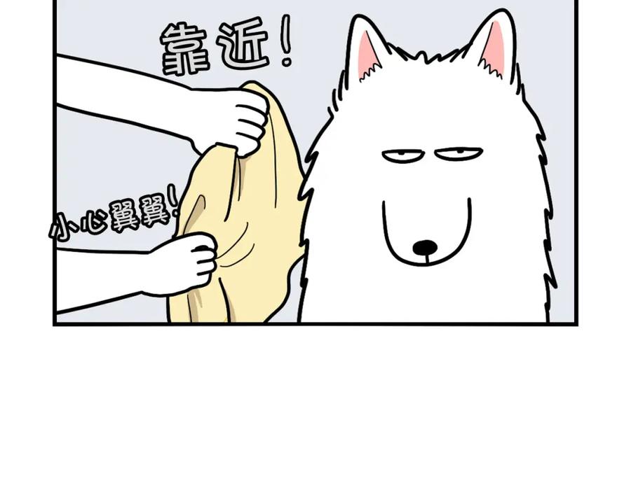 《我的狗子叫棉花》第6话 洗澡澡 第35页