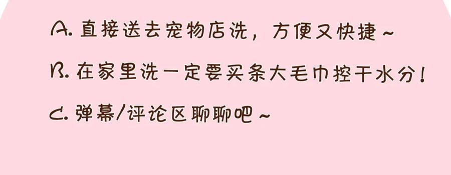《我的狗子叫棉花》第6话 洗澡澡 第99页