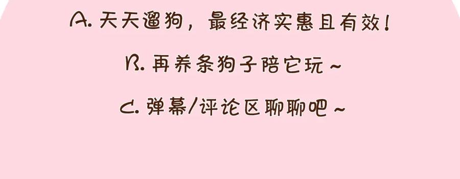《我的狗子叫棉花》第7话 拆家大魔王 第89页