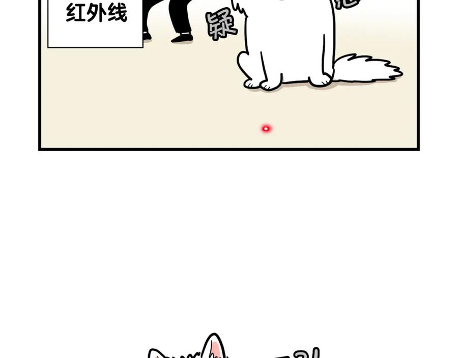 《我的狗子叫棉花》第7话 拆家大魔王 第62页