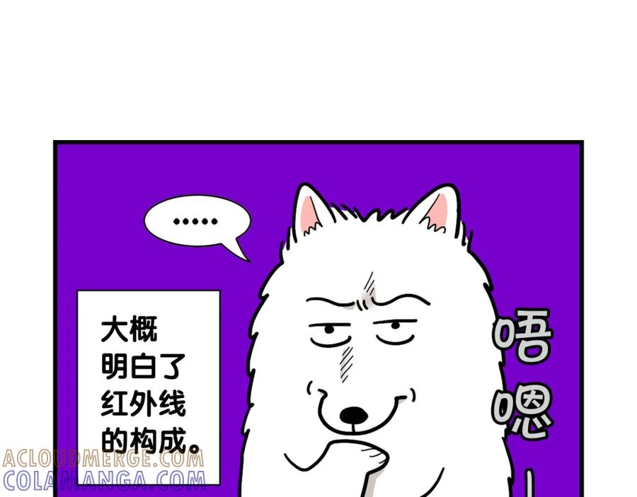 《我的狗子叫棉花》第7话 拆家大魔王 第79页