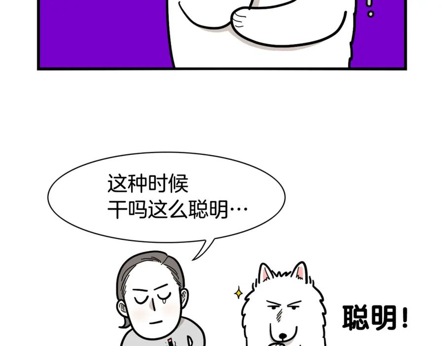 《我的狗子叫棉花》第7话 拆家大魔王 第80页